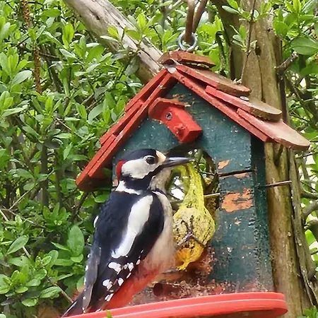 شقة Historisches Haus Unkelbach *