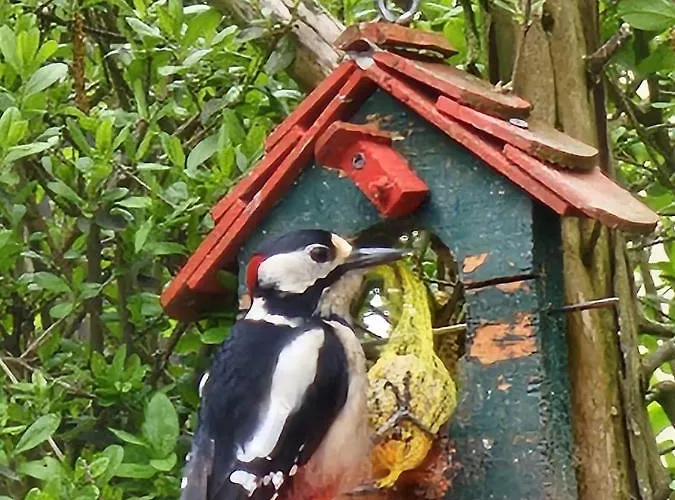 شقة Historisches Haus Unkelbach *